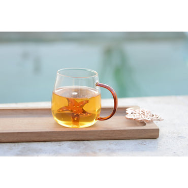 Set of 2 glass tea cups with golden star and shell design, stylish tableware and home decor | CozyVibe