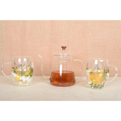 650ml glass teapot - CozyVibe.eu