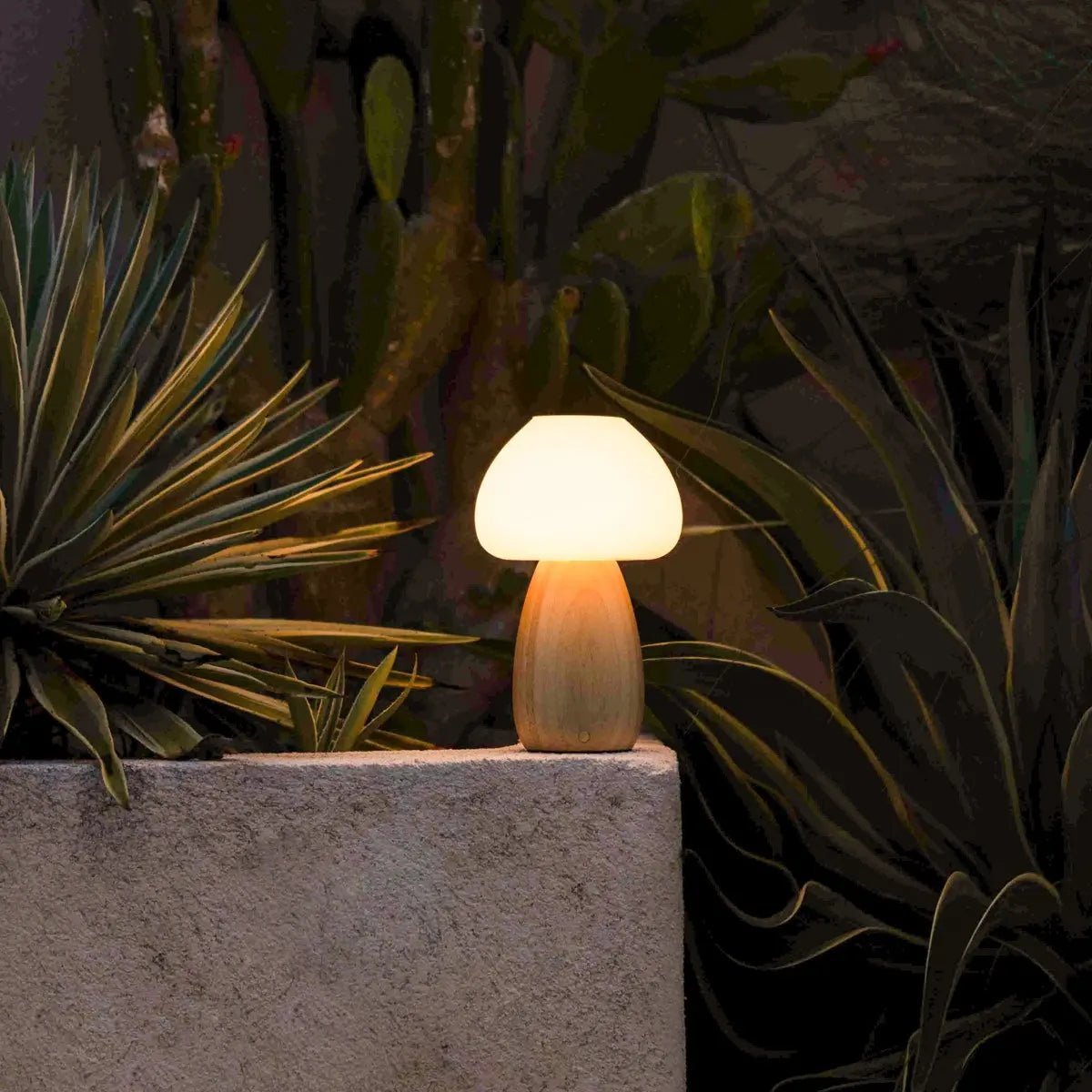 Bear Lamp – Rechargeable Wooden Light, Dimmable & Eco - Friendly - CozyVibe.eu