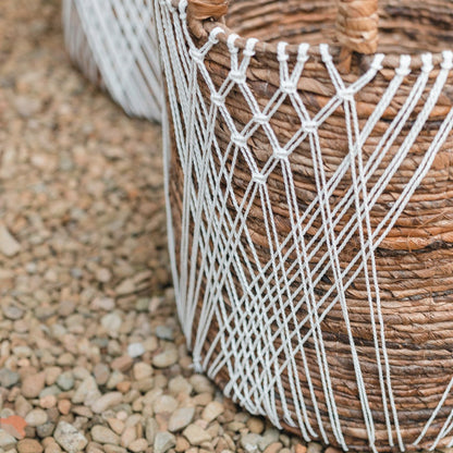 CozyVibe Juwana banana fibre basket styled in cozy home décor