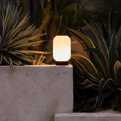 Lilly Rechargeable Lamp – Frosted Glass & Dimmable Light - CozyVibe.eu